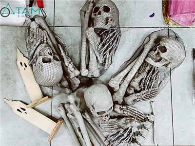 Bộ 19 món xương người giả tháo rời